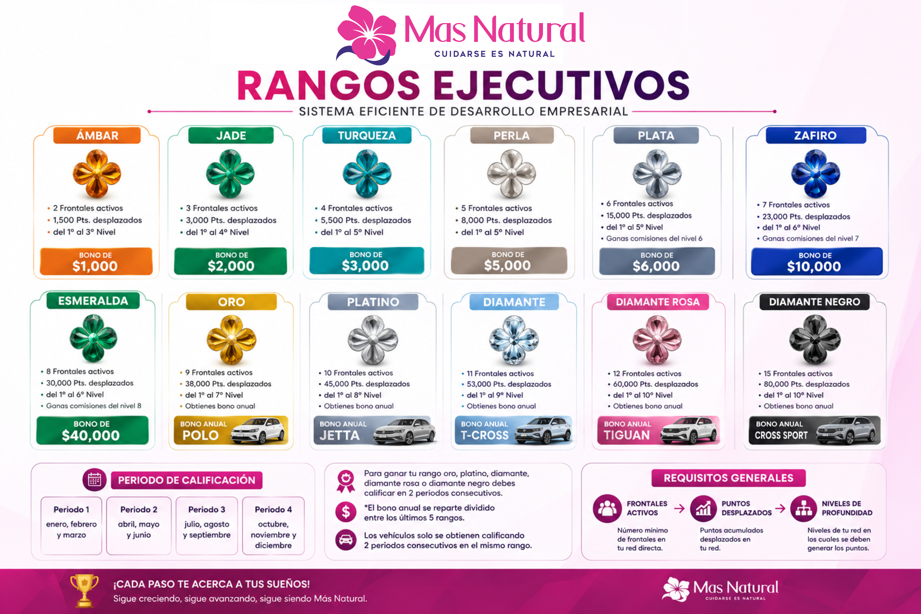 Rangos Ejecutivos Mas Natural